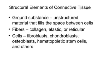 Structural Elements of Connective Tissue

• Ground substance – unstructured
  material that fills the space between cells
• Fibers – collagen, elastic, or reticular
• Cells – fibroblasts, chondroblasts,
  osteoblasts, hematopoietic stem cells,
  and others
 