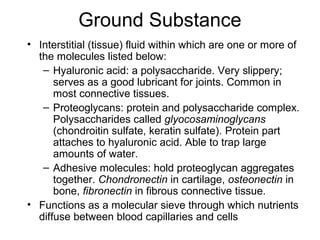 Ground Substance
• Interstitial (tissue) fluid within which are one or more of
  the molecules listed below:
   – Hyaluronic acid: a polysaccharide. Very slippery;
      serves as a good lubricant for joints. Common in
      most connective tissues.
   – Proteoglycans: protein and polysaccharide complex.
      Polysaccharides called glyocosaminoglycans
      (chondroitin sulfate, keratin sulfate). Protein part
      attaches to hyaluronic acid. Able to trap large
      amounts of water.
   – Adhesive molecules: hold proteoglycan aggregates
      together. Chondronectin in cartilage, osteonectin in
      bone, fibronectin in fibrous connective tissue.
• Functions as a molecular sieve through which nutrients
  diffuse between blood capillaries and cells
 