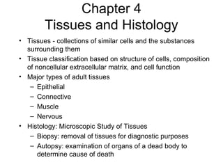 Chapter 4
        Tissues and Histology
• Tissues - collections of similar cells and the substances
  surrounding them
• Tissue classification based on structure of cells, composition
  of noncellular extracellular matrix, and cell function
• Major types of adult tissues
   – Epithelial
   – Connective
   – Muscle
   – Nervous
• Histology: Microscopic Study of Tissues
   – Biopsy: removal of tissues for diagnostic purposes
   – Autopsy: examination of organs of a dead body to
      determine cause of death
 