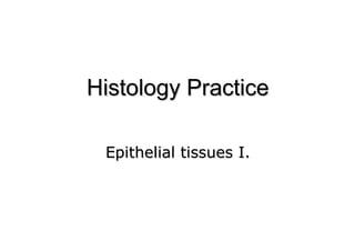 Epithelial tissues I.
 