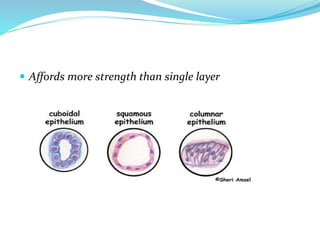  Affords more strength than single layer
 