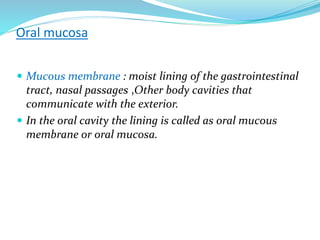 Oral mucosa
 Mucous membrane : moist lining of the gastrointestinal
tract, nasal passages ,Other body cavities that
communicate with the exterior.
 In the oral cavity the lining is called as oral mucous
membrane or oral mucosa.
 
