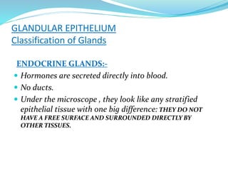 GLANDULAR EPITHELIUM
Classification of Glands
ENDOCRINE GLANDS:-
 Hormones are secreted directly into blood.
 No ducts.
 Under the microscope , they look like any stratified
epithelial tissue with one big difference: THEY DO NOT
HAVE A FREE SURFACE AND SURROUNDED DIRECTLY BY
OTHER TISSUES.
 
