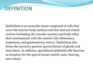 DEFINITION
Epithelium is an avascular tissue composed of cells that
cover the exterior body surfaces and line internal closed
cavities (including the vascular system) and body tubes
that communicate with the exterior (the alimentary,
respiratory, and genitourinary tracts). Epithelium also
forms the secretory portion (parenchyma) of glands and
their ducts. In addition, specialized epithelial cells function
as receptors for the special senses (smell, taste, hearing,
and vision).
 