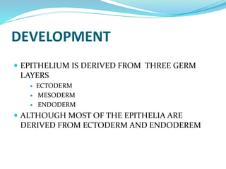DEVELOPMENT
 EPITHELIUM IS DERIVED FROM THREE GERM
LAYERS
 ECTODERM
 MESODERM
 ENDODERM
 ALTHOUGH MOST OF THE EPITHELIA ARE
DERIVED FROM ECTODERM AND ENDODEREM
 