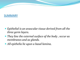 SUMMARY
 Epithelial is an avascular tissue derived from all the
three germ layers.
 They line the external surface of the body , occur as
membranes and as glands.
 All epithelia lie upon a basal lamina.
 