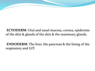 ECTODERM: Oral and nasal mucosa, cornea, epidermis
of the skin & glands of the skin & the mammary glands.
ENDODERM: The liver, the pancreas & the lining of the
respiratory and GIT.
 