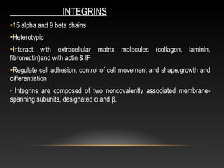 Integrin Types Epithelium ppt... | PPT