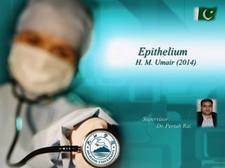 Epithelium
H. M. Umair (2014)
Supervisor:
Dr. Pertab Rai.
 