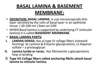 Epithilial Tissues,HISTOLOGY,MBBS,1ST YEAR | PDF