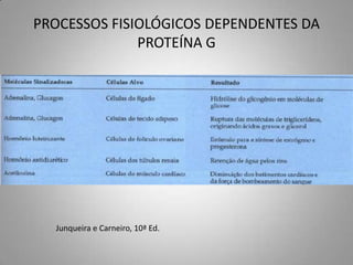 PROCESSOS FISIOLÓGICOS DEPENDENTES DA
              PROTEÍNA G




  Junqueira e Carneiro, 10ª Ed.
 