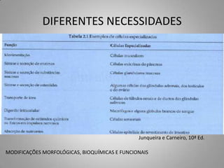 DIFERENTES NECESSIDADES




                                               Junqueira e Carneiro, 10ª Ed.

MODIFICAÇÕES MORFOLÓGICAS, BIOQUÍMICAS E FUNCIONAIS
 