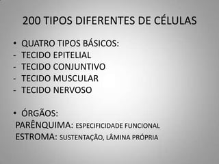 200 TIPOS DIFERENTES DE CÉLULAS
•   QUATRO TIPOS BÁSICOS:
-   TECIDO EPITELIAL
-   TECIDO CONJUNTIVO
-   TECIDO MUSCULAR
-   TECIDO NERVOSO

• ÓRGÃOS:
 PARÊNQUIMA: ESPECIFICIDADE FUNCIONAL
 ESTROMA: SUSTENTAÇÃO, LÂMINA PRÓPRIA
 