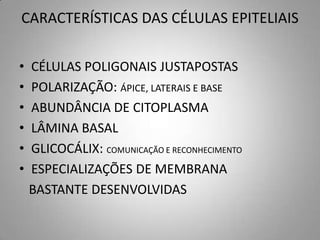 CARACTERÍSTICAS DAS CÉLULAS EPITELIAIS


•   CÉLULAS POLIGONAIS JUSTAPOSTAS
•   POLARIZAÇÃO: ÁPICE, LATERAIS E BASE
•   ABUNDÂNCIA DE CITOPLASMA
•   LÂMINA BASAL
•   GLICOCÁLIX: COMUNICAÇÃO E RECONHECIMENTO
•   ESPECIALIZAÇÕES DE MEMBRANA
    BASTANTE DESENVOLVIDAS
 