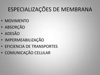 ESPECIALIZAÇÕES DE MEMBRANA
•   MOVIMENTO
•   ABSORÇÃO
•   ADESÃO
•   IMPERMEABILIZAÇÃO
•   EFICIENCIA DE TRANSPORTES
•   COMUNICAÇÃO CELULAR
 