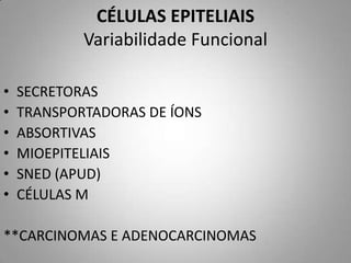 CÉLULAS EPITELIAIS
            Variabilidade Funcional

•   SECRETORAS
•   TRANSPORTADORAS DE ÍONS
•   ABSORTIVAS
•   MIOEPITELIAIS
•   SNED (APUD)
•   CÉLULAS M

**CARCINOMAS E ADENOCARCINOMAS
 