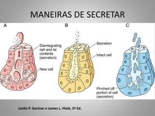 MANEIRAS DE SECRETAR




Leslie P. Gartner e James L. Hiatt, 3ª Ed.
 
