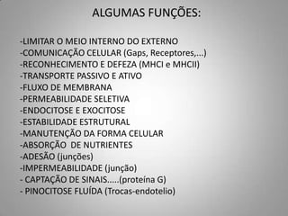 ALGUMAS FUNÇÕES:

-LIMITAR O MEIO INTERNO DO EXTERNO
-COMUNICAÇÃO CELULAR (Gaps, Receptores,...)
-RECONHECIMENTO E DEFEZA (MHCI e MHCII)
-TRANSPORTE PASSIVO E ATIVO
-FLUXO DE MEMBRANA
-PERMEABILIDADE SELETIVA
-ENDOCITOSE E EXOCITOSE
-ESTABILIDADE ESTRUTURAL
-MANUTENÇÃO DA FORMA CELULAR
-ABSORÇÃO DE NUTRIENTES
-ADESÃO (junções)
-IMPERMEABILIDADE (junção)
- CAPTAÇÃO DE SINAIS.....(proteína G)
- PINOCITOSE FLUÍDA (Trocas-endotelio)
 