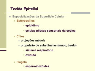 Tecido Epitelial

 Especializações da Superfície Celular
      Estereocílios
              epidídimo
              células pilosas sensoriais da cóclea
      Cílios
         projeções móveis


           propulsão de substâncias (muco, óvulo)
              sistema respiratório
              oviduto

      Flagelo
            espermatozóides
 