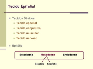 Tecido Epitelial


 Tecidos Básicos
      Tecido epitelial
      Tecido conjuntivo
      Tecido muscular
      Tecido nervoso

 Epitélio


         Ectoderma         Mesoderma         Endoderma


                     Mesotélio   Endotélio
 