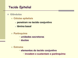 Tecido Epitelial

 Glândulas
     Células epiteliais
          penetram no tecido conjuntivo
          lâmina basal


     Parênquima
           unidades secretoras
           ductos

     Estroma
           elementos do tecido conjuntivo
               invadem e sustentam o parênquima
 