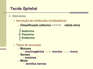 Tecido Epitelial

 Glândulas
     Secreção de moléculas sinalizadoras
          Classificação (citocina            célula alvo)

           • Autócrino
           • Parácrino
           • Endócrino

     Tipos de secreção
        Mucosa
           mucinogênios             mucina       muco
        Serosa
           enzimas
        Mista
           semilua serosa
 