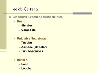 Tecido Epitelial

 Glândulas Exócrinas Multicelulares
      Ducto
         Simples

         Composta




      Unidades Secretoras
         Tubular

         Acinosa (alveolar)

         Tubulo-acinosa




      Divisão
         Lobo

         Lóbulo
 