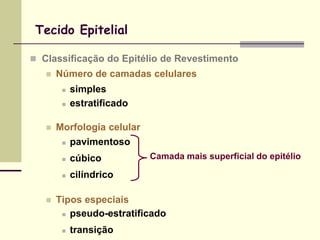 Tecido Epitelial

 Classificação do Epitélio de Revestimento
      Número de camadas celulares
           simples
           estratificado

      Morfologia celular
           pavimentoso
           cúbico          Camada mais superficial do epitélio

           cilíndrico

      Tipos especiais
         pseudo-estratificado


           transição
 