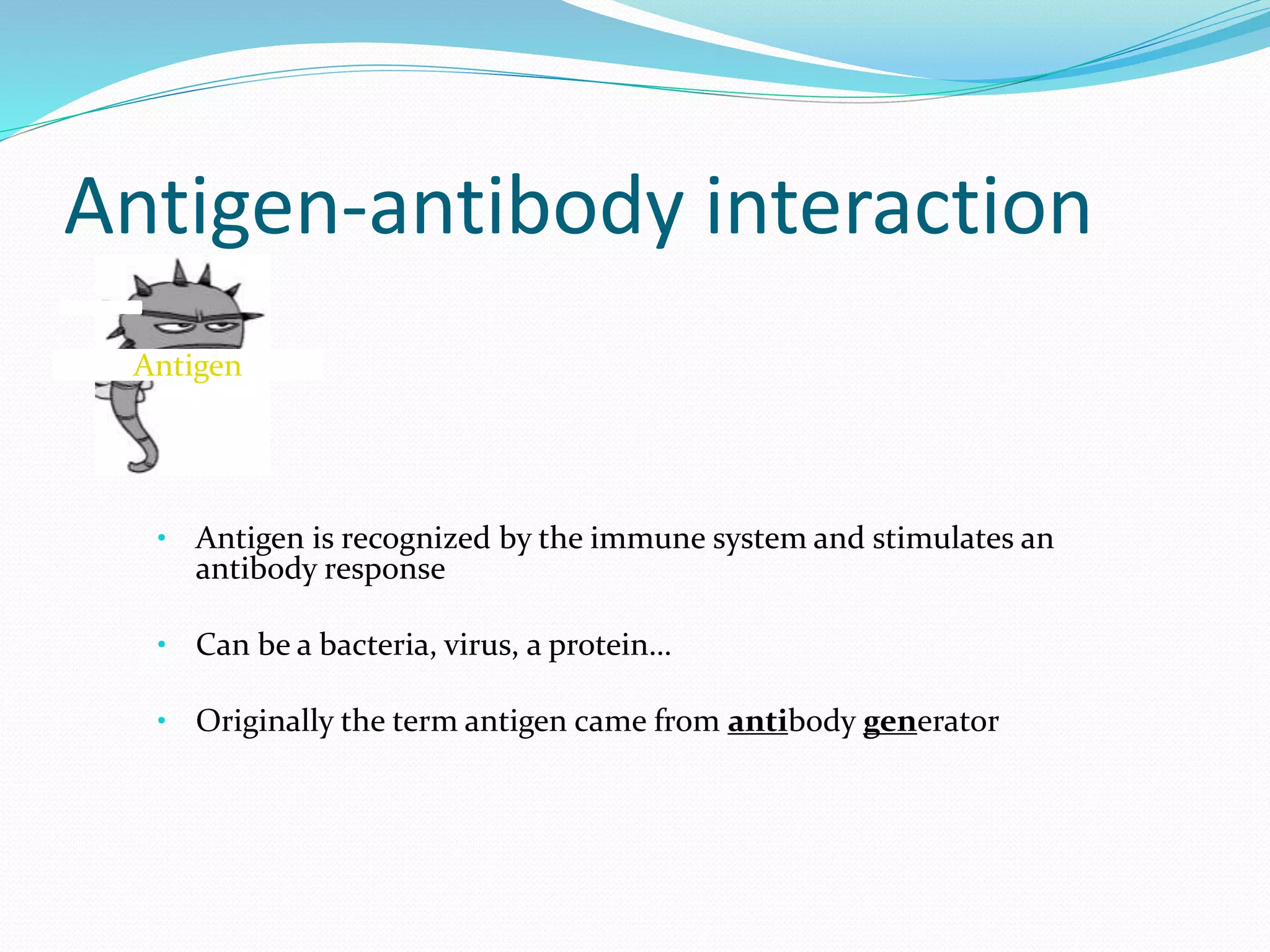Antigen-antibody interaction
• Antigen is recognized by the immune system and stimulates an
antibody response
• Can be a bacteria, virus, a protein…
• Originally the term antigen came from antibody generator
Antigen
 