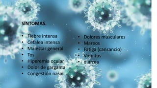 SÍNTOMAS.
• Fiebre intensa
• Cefalea intensa
• Malestar general
• Tos
• Hiperemia ocular
• Dolor de garganta
• Congestión nasal
• Dolores musculares
• Mareos
• Fatiga (cansancio)
• Vómitos
• diarrea
 