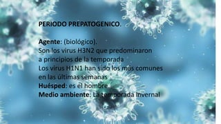 PERIODO PREPATOGENICO.
Agente: (biológico).
Son los virus H3N2 que predominaron
a principios de la temporada
Los virus H1N1 han sido los más comunes
en las últimas semanas
Huésped: es el hombre.
Medio ambiente: La temporada invernal
 