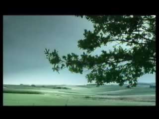 14
VÍDEO SEG TRANSITO III
 