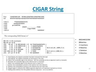 NGS data formats and analyses | PPTX