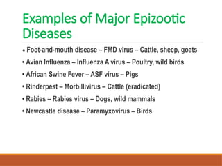Epizootic_Diseases_Presentation_Remya.pptx