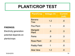 Plant/Crop Voltage (V) Current
(mA)
Banana
Tree
1.2 .6
Pea Plant 1 .6
Marigold
Plant
.8 .5
Ferns .8 .5
Rose Plant .9 .5
Paddy Field 1 .6
Aloe Vera 1.2 .6
PLANT/CROP TEST
16-04-2019 14
FINDINGS:
Electricity generation
potential depends on
plants/crops
 