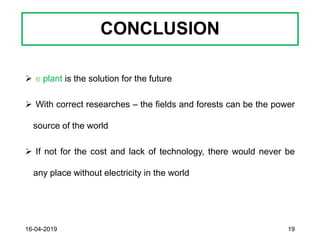 CONCLUSION
➢ e plant is the solution for the future
➢ With correct researches – the fields and forests can be the power
source of the world
➢ If not for the cost and lack of technology, there would never be
any place without electricity in the world
16-04-2019 19
 