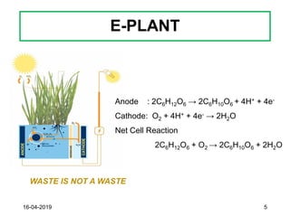 E-PLANT
16-04-2019 5
WASTE IS NOT A WASTE
Anode : 2C6H12O6 → 2C6H10O6 + 4H+ + 4e-
Cathode: O2 + 4H+ + 4e- → 2H2O
Net Cell Reaction
2C6H12O6 + O2 → 2C6H10O6 + 2H2O
 