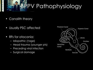 BPPV Pathophysiology Canalith theory Usually PSC affected RFs for otoconia: Idiopathic (↑age) Head trauma (younger pts) Preceding viral infection Surgical damage 
