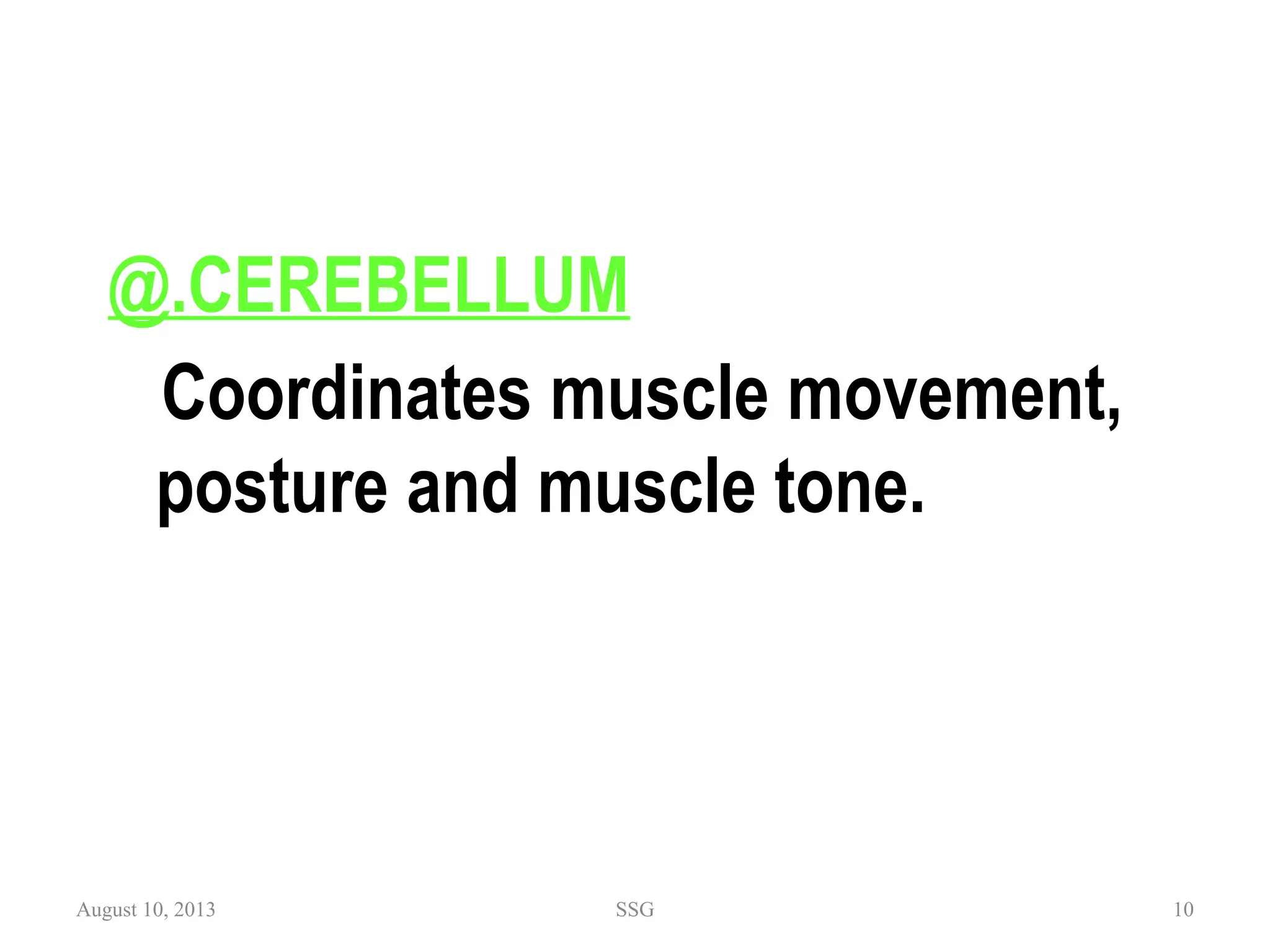 @.CEREBELLUM
Coordinates muscle movement,
posture and muscle tone.
August 10, 2013 SSG 10
 