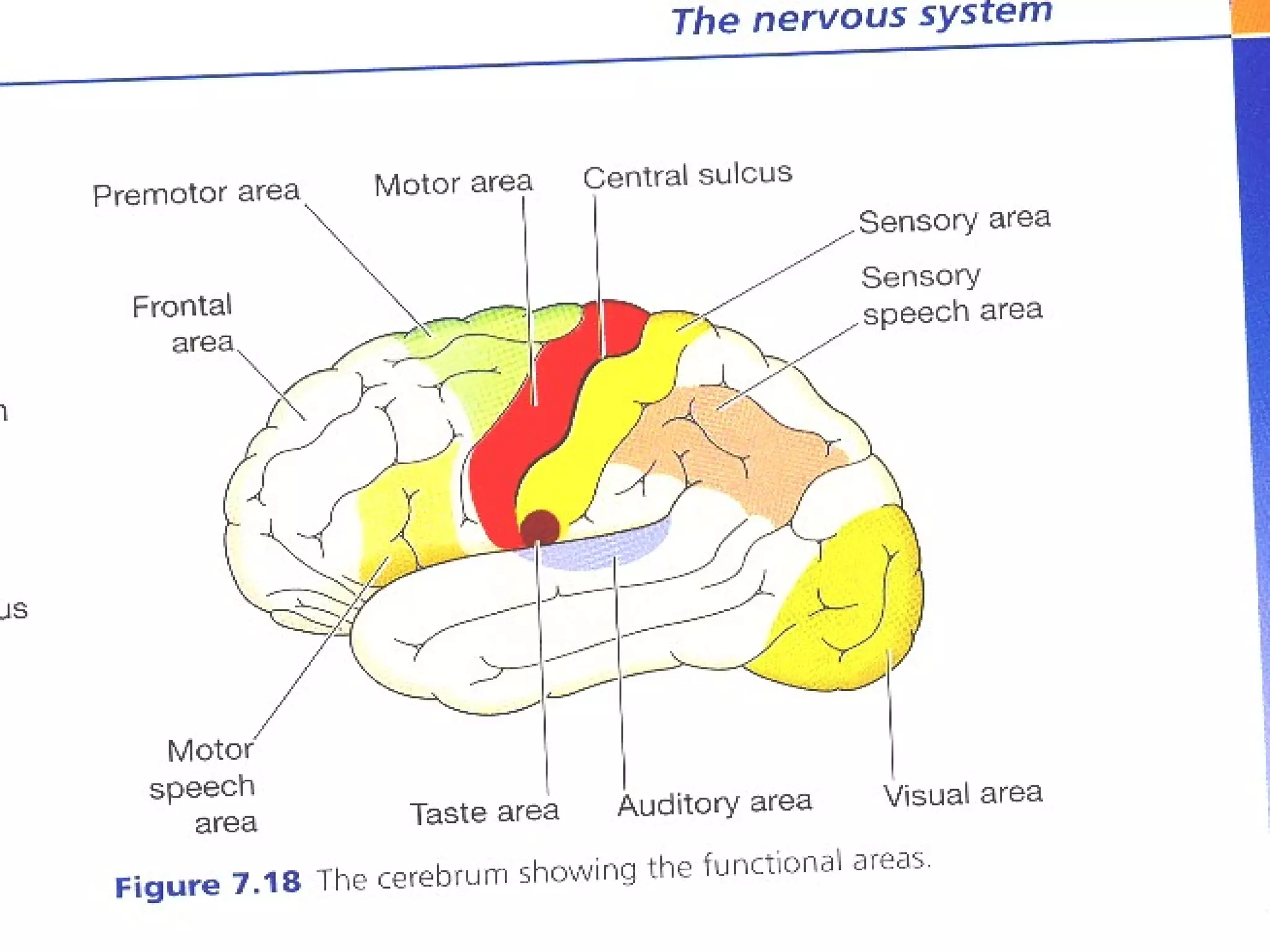 August 10, 2013 CNE 11
 