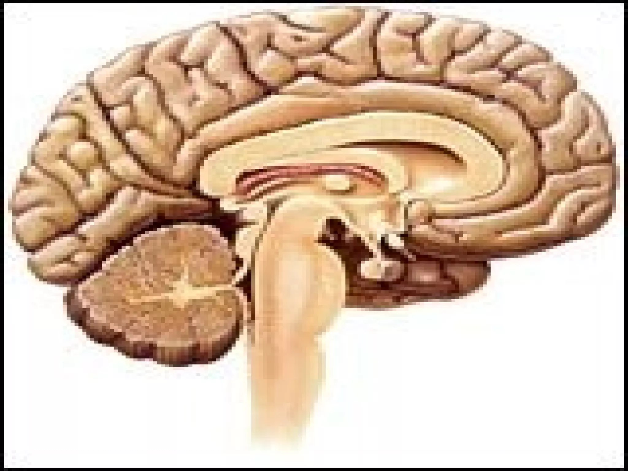 August 10, 2013 CNE 3
 