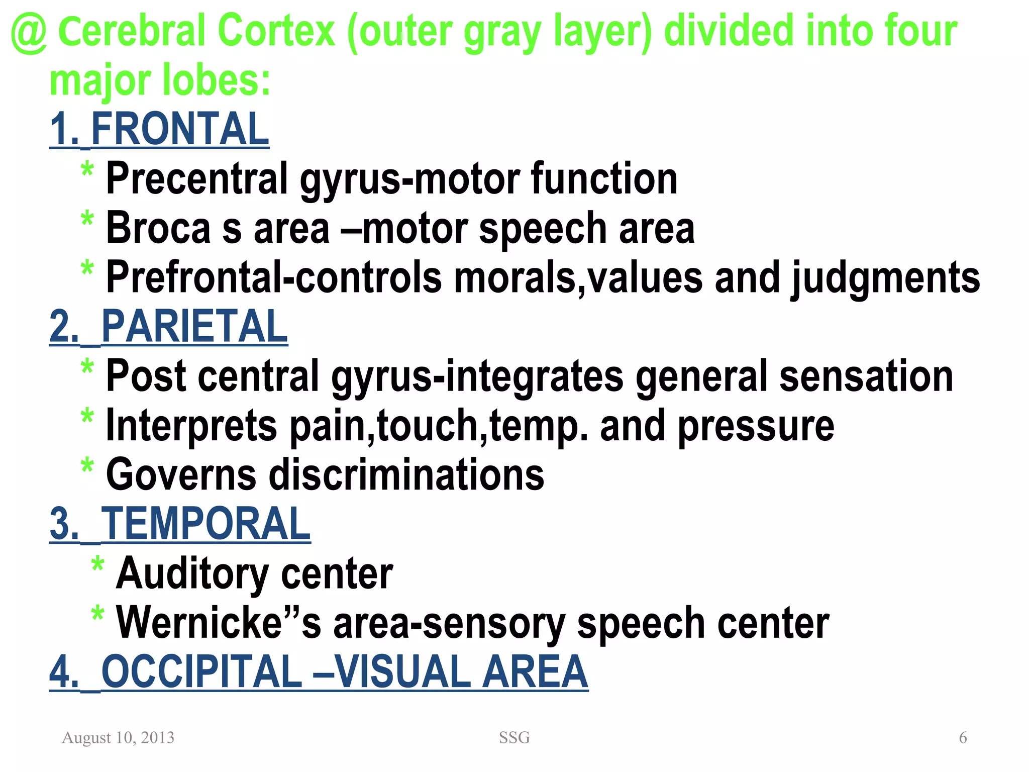 @ Cerebral Cortex (outer gray layer) divided into four
major lobes:
1. FRONTAL
* Precentral gyrus-motor function
* Broca s area –motor speech area
* Prefrontal-controls morals,values and judgments
2.  PARIETAL
* Post central gyrus-integrates general sensation
* Interprets pain,touch,temp. and pressure
* Governs discriminations
3.  TEMPORAL
* Auditory center
* Wernicke”s area-sensory speech center
4.  OCCIPITAL –VISUAL AREA
August 10, 2013 SSG 6
 