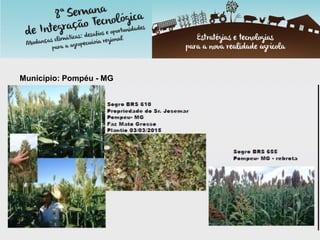 Município: Pompéu - MG
 