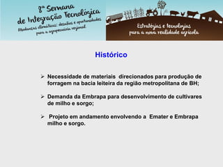 Histórico
 Necessidade de materiais direcionados para produção de
forragem na bacia leiteira da região metropolitana de BH;
 Demanda da Embrapa para desenvolvimento de cultivares
de milho e sorgo;
 Projeto em andamento envolvendo a Emater e Embrapa
milho e sorgo.
 