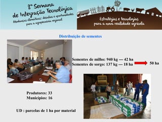Distribuição de sementes
Sementes de milho: 940 kg --- 42 ha
Sementes de sorgo: 137 kg --- 18 ha 50 ha
Produtores: 33
Municípios: 16
UD : parcelas de 1 ha por material
 