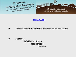 RESULTADO
 Milho: deficiência hídrica influenciou os resultados
 Sorgo:
deficiência hídrica
recuperação
rebrota
 