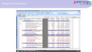 Project Professional
 