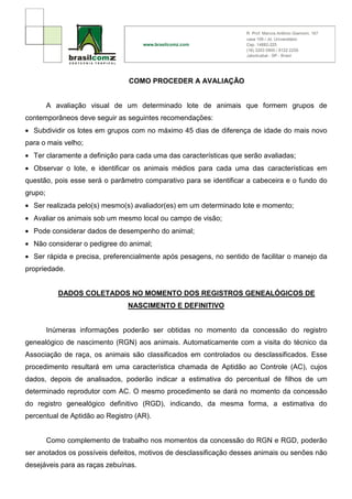 COMO PROCEDER A AVALIAÇÃO


         A avaliação visual de um determinado lote de animais que formem grupos de
contemporâneos deve seguir as seguintes recomendações:
• Subdividir os lotes em grupos com no máximo 45 dias de diferença de idade do mais novo
para o mais velho;
• Ter claramente a definição para cada uma das características que serão avaliadas;
• Observar o lote, e identificar os animais médios para cada uma das características em
questão, pois esse será o parâmetro comparativo para se identificar a cabeceira e o fundo do
grupo;
• Ser realizada pelo(s) mesmo(s) avaliador(es) em um determinado lote e momento;
• Avaliar os animais sob um mesmo local ou campo de visão;
• Pode considerar dados de desempenho do animal;
• Não considerar o pedigree do animal;
• Ser rápida e precisa, preferencialmente após pesagens, no sentido de facilitar o manejo da
propriedade.


            DADOS COLETADOS NO MOMENTO DOS REGISTROS GENEALÓGICOS DE
                               NASCIMENTO E DEFINITIVO


         Inúmeras informações poderão ser obtidas no momento da concessão do registro
genealógico de nascimento (RGN) aos animais. Automaticamente com a visita do técnico da
Associação de raça, os animais são classificados em controlados ou desclassificados. Esse
procedimento resultará em uma característica chamada de Aptidão ao Controle (AC), cujos
dados, depois de analisados, poderão indicar a estimativa do percentual de filhos de um
determinado reprodutor com AC. O mesmo procedimento se dará no momento da concessão
do registro genealógico definitivo (RGD), indicando, da mesma forma, a estimativa do
percentual de Aptidão ao Registro (AR).


         Como complemento de trabalho nos momentos da concessão do RGN e RGD, poderão
ser anotados os possíveis defeitos, motivos de desclassificação desses animais ou senões não
desejáveis para as raças zebuínas.
 