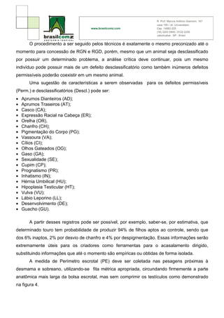 O procedimento a ser seguido pelos técnicos é exatamente o mesmo preconizado até o
momento para concessão de RGN e RGD, porém, mesmo que um animal seja desclassificado
por possuir um determinado problema, a análise crítica deve continuar, pois um mesmo
indivíduo pode possuir mais de um defeito desclassificatório como também inúmeros defeitos
permissíveis poderão coexistir em um mesmo animal.
       Uma sugestão de características a serem observadas para os defeitos permissíveis
(Perm.) e desclassificatórios (Descl.) pode ser:
•   Aprumos Dianteiros (AD);
•   Aprumos Traseiros (AT);
•   Casco (CA);
•   Expressão Racial na Cabeça (ER);
•   Orelha (OR),
•   Chanfro (CH);
•   Pigmentação do Corpo (PG);
•   Vassoura (VA);
•   Cílios (CI);
•   Olhos Gateados (OG);
•   Gaso (GA);
•   Sexualidade (SE);
•   Cupim (CP);
•   Prognatismo (PR);
•   Inhatismo (IN);
•   Hérnia Umbilical (HU);
•   Hipoplasia Testicular (HT);
•   Vulva (VU);
•   Lábio Leporino (LL);
•   Desenvolvimento (DE);
•   Guacho (GU).

       A partir desses registros pode ser possível, por exemplo, saber-se, por estimativa, que
determinado touro tem probabilidade de produzir 94% de filhos aptos ao controle, sendo que
dos 6% inaptos, 2% por desvio de chanfro e 4% por despigmentação. Essas informações serão
extremamente úteis para os criadores como ferramentas para o acasalamento dirigido,
substituindo informações que até o momento são empíricas ou obtidas de forma isolada.
       A medida de Perímetro escrotal (PE) deve ser coletada nas pesagens próximas à
desmama e sobreano, utilizando-se fita métrica apropriada, circundando firmemente a parte
anatômica mais larga da bolsa escrotal, mas sem comprimir os testículos como demonstrado
na figura 4.
 