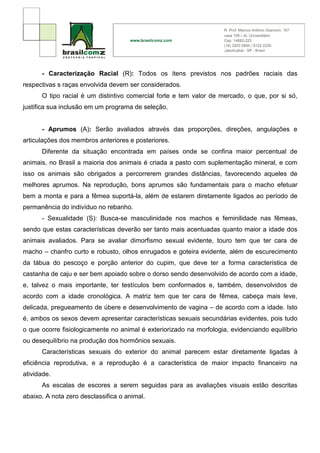 - Caracterização Racial (R): Todos os itens previstos nos padrões raciais das
respectivas s raças envolvida devem ser considerados.
      O tipo racial é um distintivo comercial forte e tem valor de mercado, o que, por si só,
justifica sua inclusão em um programa de seleção.


      - Aprumos (A): Serão avaliados através das proporções, direções, angulações e
articulações dos membros anteriores e posteriores.
      Diferente da situação encontrada em países onde se confina maior percentual de
animais, no Brasil a maioria dos animais é criada a pasto com suplementação mineral, e com
isso os animais são obrigados a percorrerem grandes distâncias, favorecendo aqueles de
melhores aprumos. Na reprodução, bons aprumos são fundamentais para o macho efetuar
bem a monta e para a fêmea suportá-la, além de estarem diretamente ligados ao período de
permanência do indivíduo no rebanho.
      - Sexualidade (S): Busca-se masculinidade nos machos e feminilidade nas fêmeas,
sendo que estas características deverão ser tanto mais acentuadas quanto maior a idade dos
animais avaliados. Para se avaliar dimorfismo sexual evidente, touro tem que ter cara de
macho – chanfro curto e robusto, olhos enrugados e goteira evidente, além de escurecimento
da tábua do pescoço e porção anterior do cupim, que deve ter a forma característica de
castanha de caju e ser bem apoiado sobre o dorso sendo desenvolvido de acordo com a idade,
e, talvez o mais importante, ter testículos bem conformados e, também, desenvolvidos de
acordo com a idade cronológica. A matriz tem que ter cara de fêmea, cabeça mais leve,
delicada, pregueamento de úbere e desenvolvimento de vagina – de acordo com a idade. Isto
é, ambos os sexos devem apresentar características sexuais secundárias evidentes, pois tudo
o que ocorre fisiologicamente no animal é exteriorizado na morfologia, evidenciando equilíbrio
ou desequilíbrio na produção dos hormônios sexuais.
      Características sexuais do exterior do animal parecem estar diretamente ligadas à
eficiência reprodutiva, e a reprodução é a característica de maior impacto financeiro na
atividade.
      As escalas de escores a serem seguidas para as avaliações visuais estão descritas
abaixo. A nota zero desclassifica o animal.
 